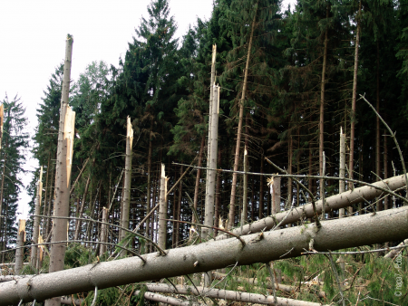 (Foto: © hapa7 - Fotolia)